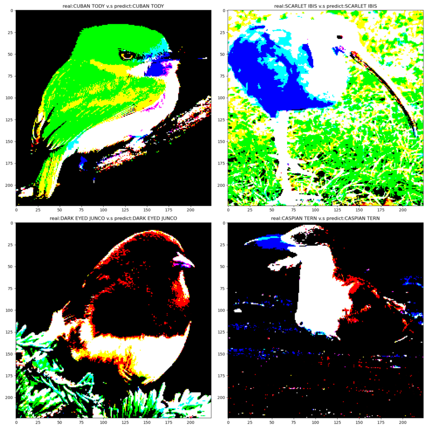 Bird Species Detection using Deep Learning Algorithm with best accuracy
