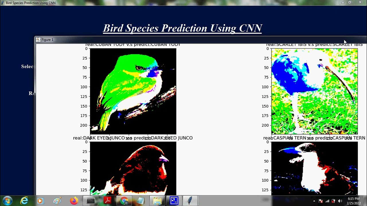 Bird Species Detection using Deep Learning Algorithm