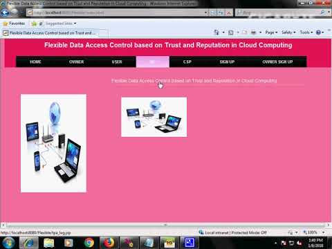 Flexible Data Access Control based on Trust and Reputation in Cloud Computing